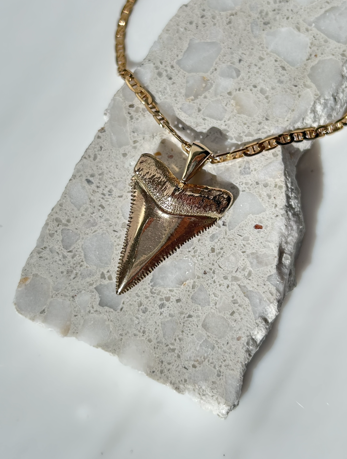 Large Shark Tooth Pendant