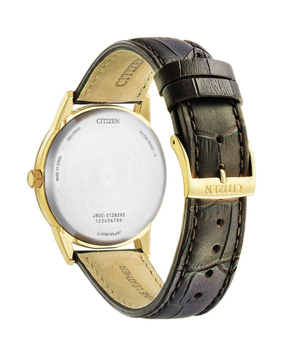 Citizen Gents Eco-Drive watch leather