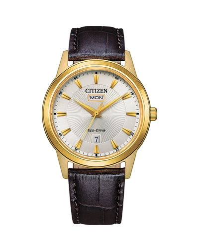 Citizen Gents Eco-Drive watch leather