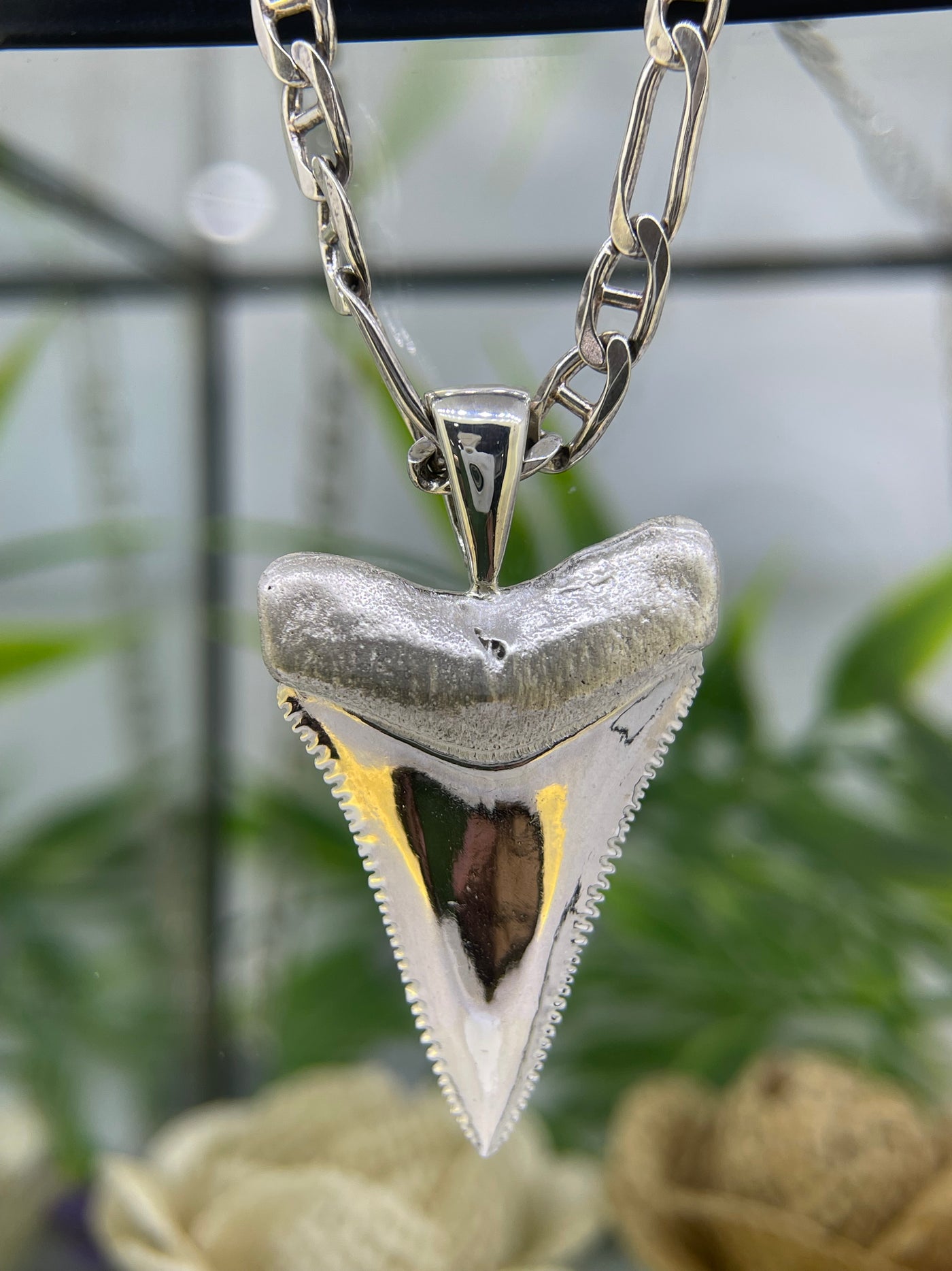 Sterling Silver Large Shark Tooth Pendant