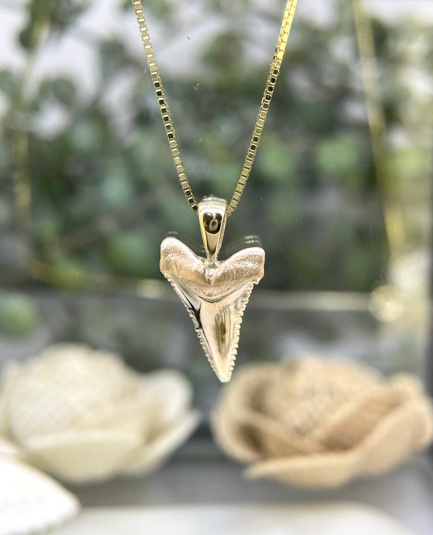 9ct Yellow Gold Small Shark Tooth Pendant