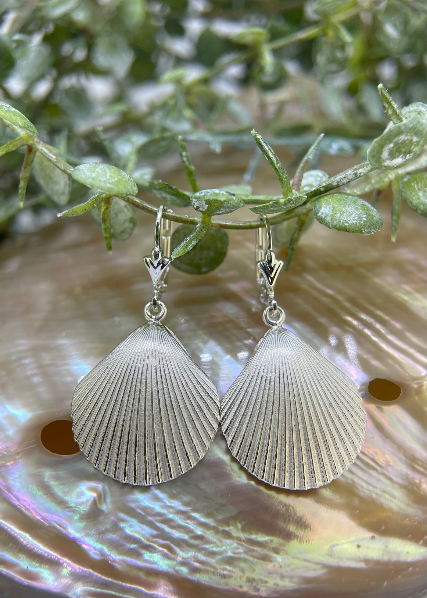 Sterling Silver Fan Shell Earrings