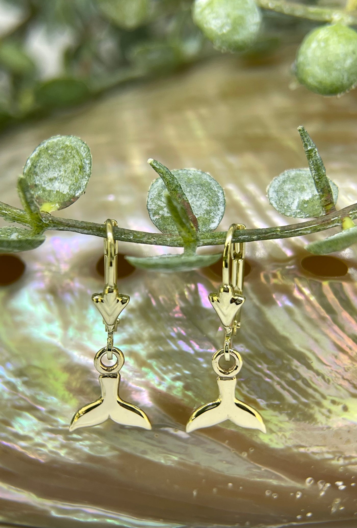 9ct Yellow Gold Whale tail Earrings
