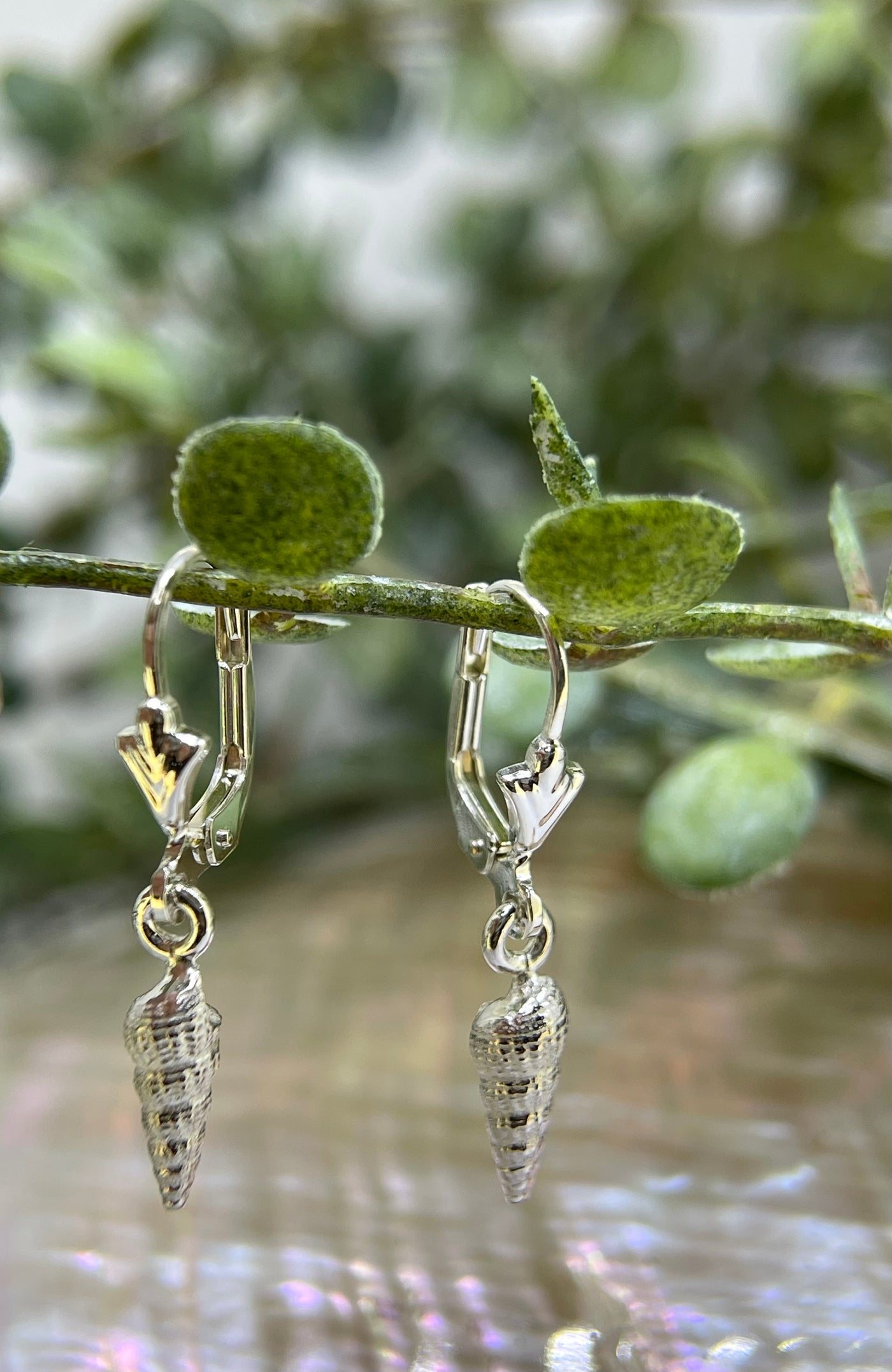 Sterling Silver Small Cone shell earrings