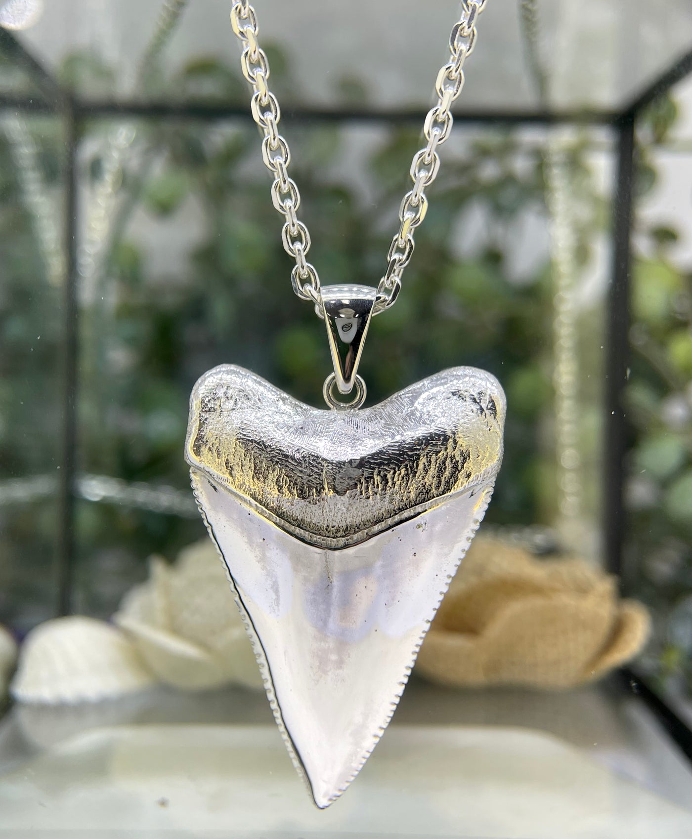 Sterling silver XL Shark tooth Pendant