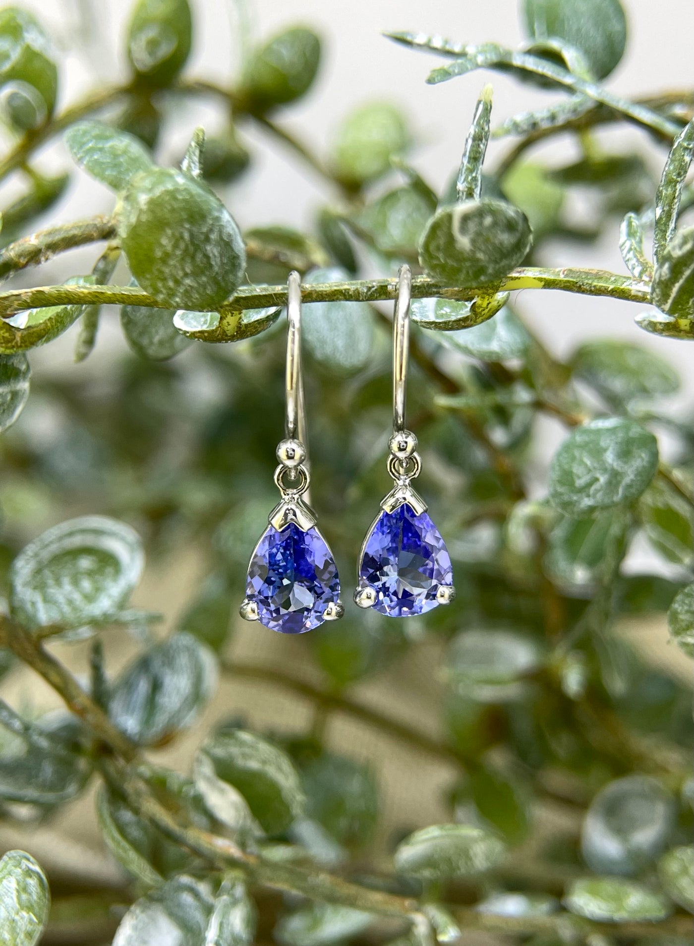 9ct White Gold Pear Drop Tanzanite Earrings