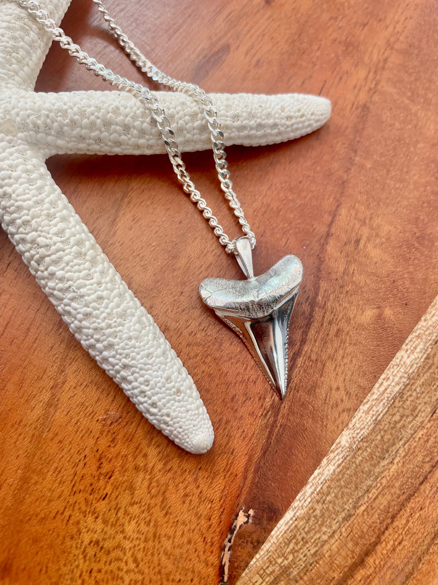 STERLING SILVER SHARK'S TOOTH NECKLACE – Caloosa Water Wear